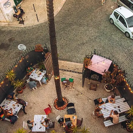 Oasis Backpackers' Cowork & Coliving אכסניה *