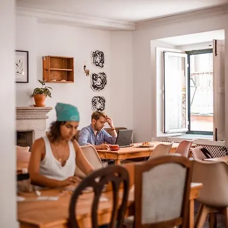 אכסניה Oasis Backpackers' Cowork & Coliving